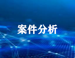 案件分析