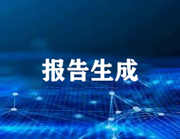 报告生成
